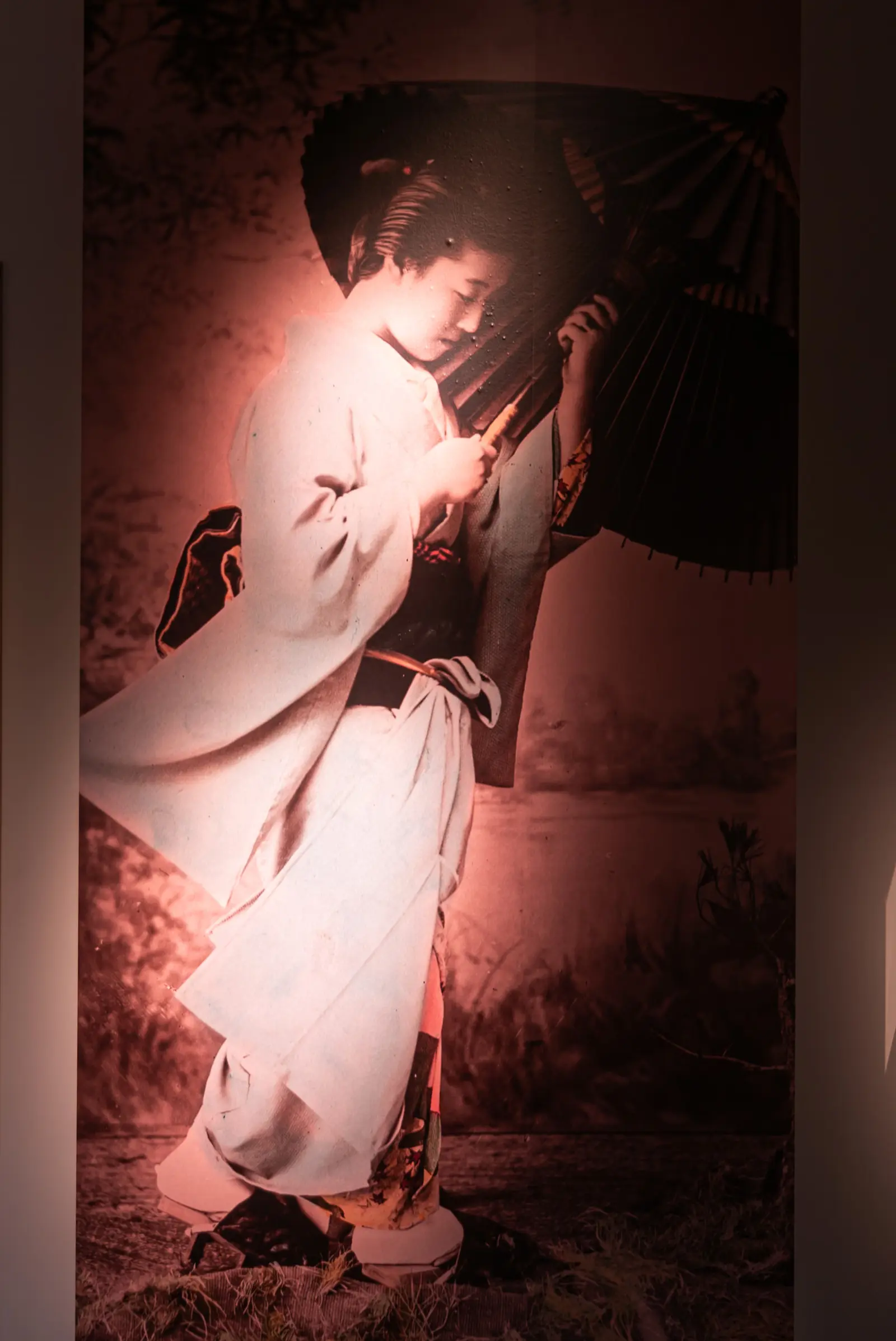 Exhibition view